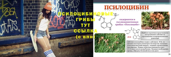 дмт Баксан
