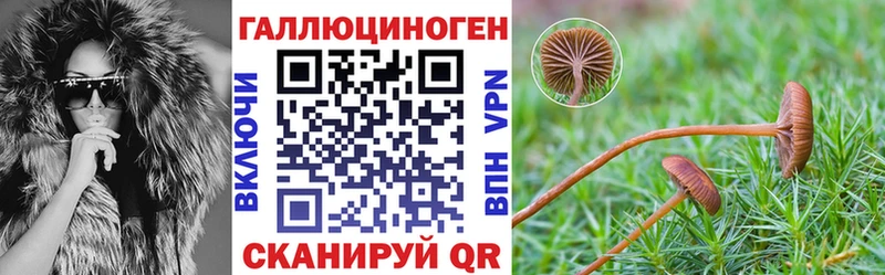 Псилоцибиновые грибы мухоморы  Лахденпохья 